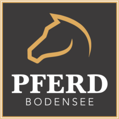 Pferd Bodensee, Friedrichshafen