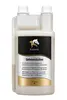 Equanis Flasche SehnenActive vorne 