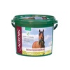 Agrobs Seniormineral Eimer 3 kg