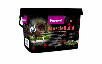 Pavo MuscleBuild 3kg