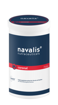Navalis  coronal horse 