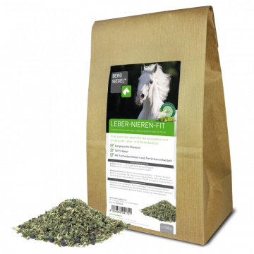 Bergsiegel Leber-Nieren-Fit für Pferde 500g Bergsiegel Leber-Nieren-Fit für Pferde 500g