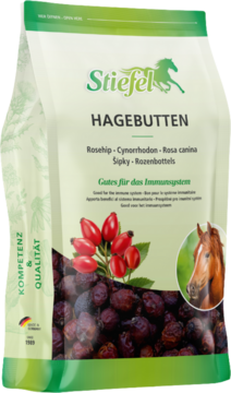 Stiefel Hagebutte
