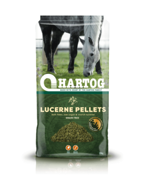 Hartog   Lucerne Pellets