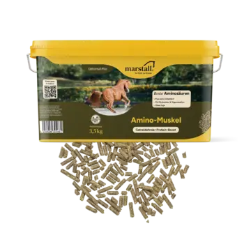 Marstall Amino Muskel
