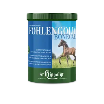 St. Hippolyt  Fohlengold Bone