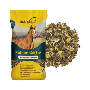 Marstall Fohlen-Aktiv