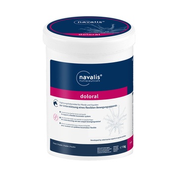 Navalis doloral horse 