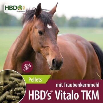 HBD´s  Vitalo TKM