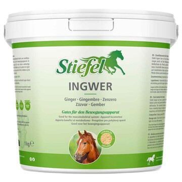 Stiefel  Ingwer gemahlen