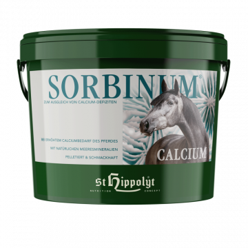 St. Hippolyt Sorbinum - Calcium 10kg