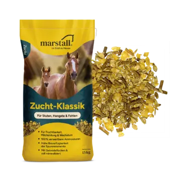 Marstall Zucht-Klassik 