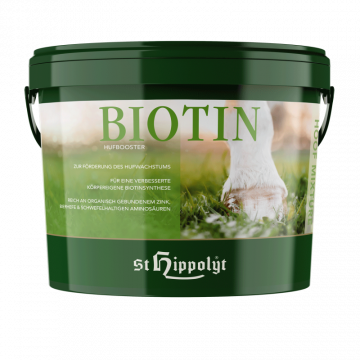 St. Hippolyt Biotin 1kg