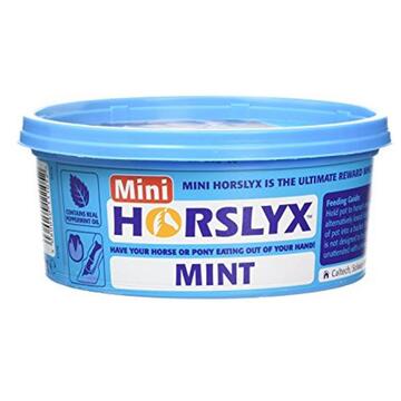 Horslyx Mini Mint Balancer