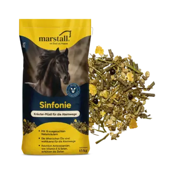 Marstall Sinfonie