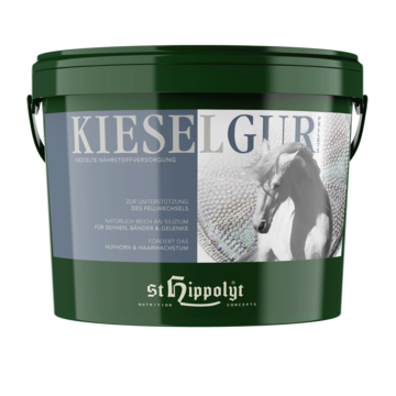 St. Hippolyt  Kieselgur 10 kg