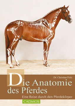 Cadmos Die Anatomie des Pferdes 