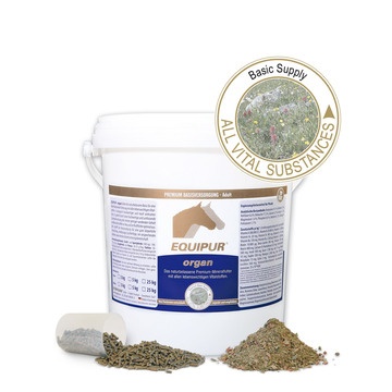 Vetripharm EQUIPUR organ
