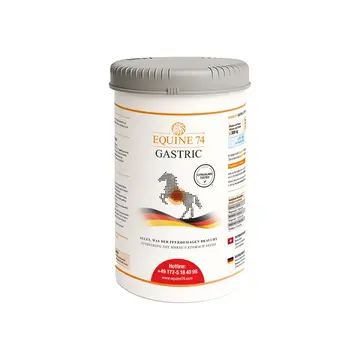 Equine74 Gastric