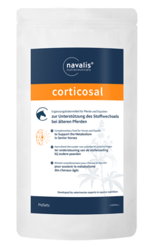 Navalis corticosal horse 