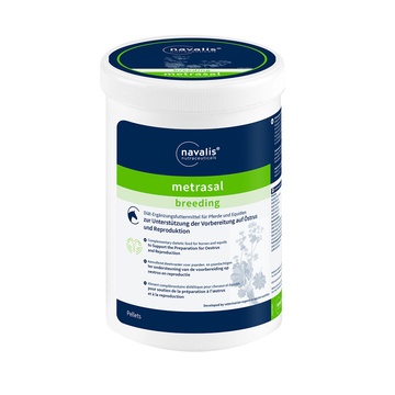 Navalis breeding metrasal horse 