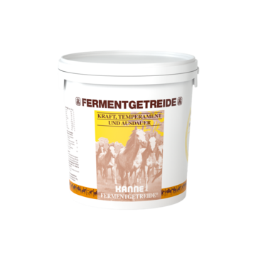 Kanne  Fermentgetreide
