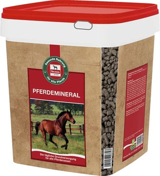 Salvana Pferdemineral