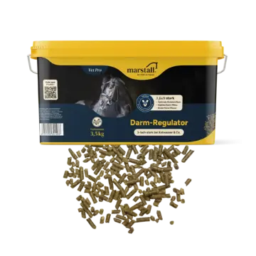 Marstall Darm-Regulator