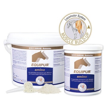 Vetripharm EQUIPUR amino