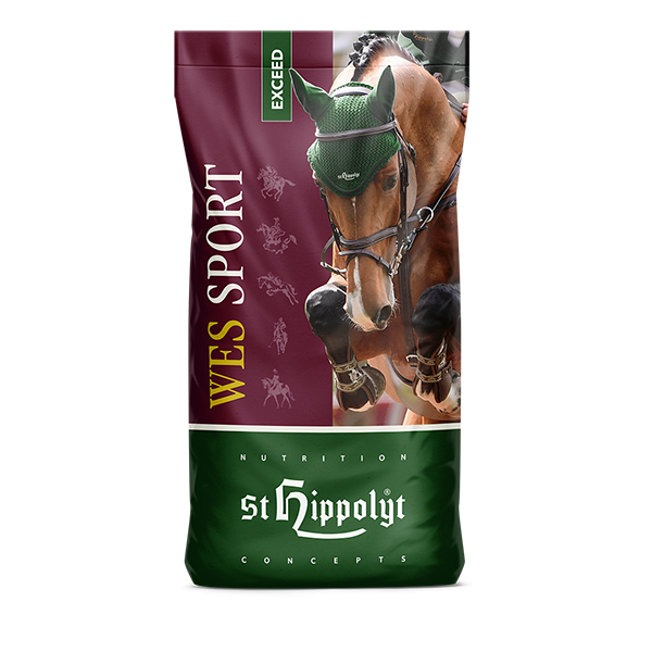 St. Hippolyt WES Sport Exceed