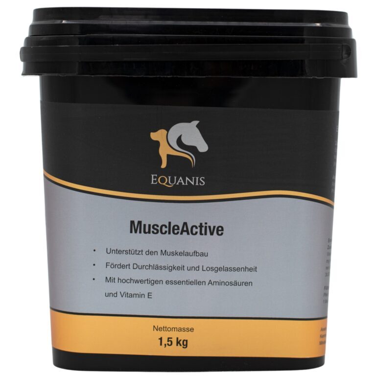 Equanis Muscleactive Frontansicht 