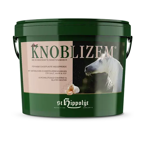 St. Hippolyt Knoblizem 3kg Eimerabbildung