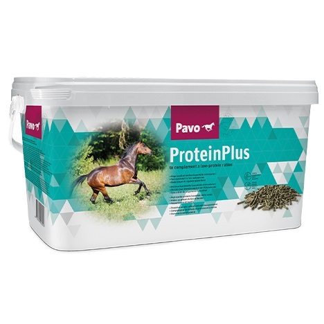 pavo-proteinplus