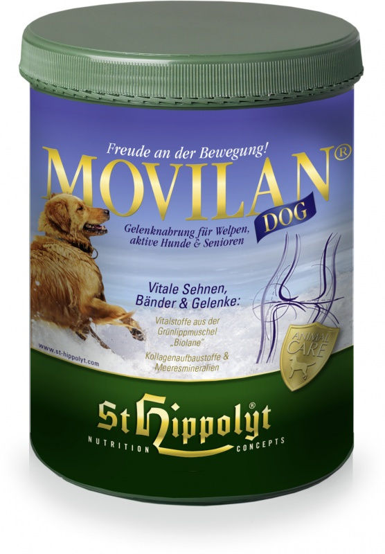 St. Hippoylt Movilan Dog