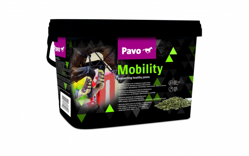 PAVO Mobility Verpackungsansicht