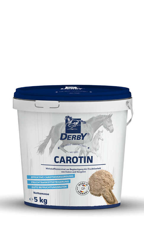 Derby Carotin 3kg Eimer 