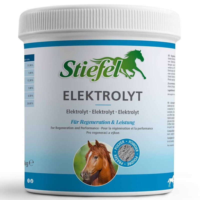 Stiefel Elektrolyt Pulver 1kg Dosenabbildung 
