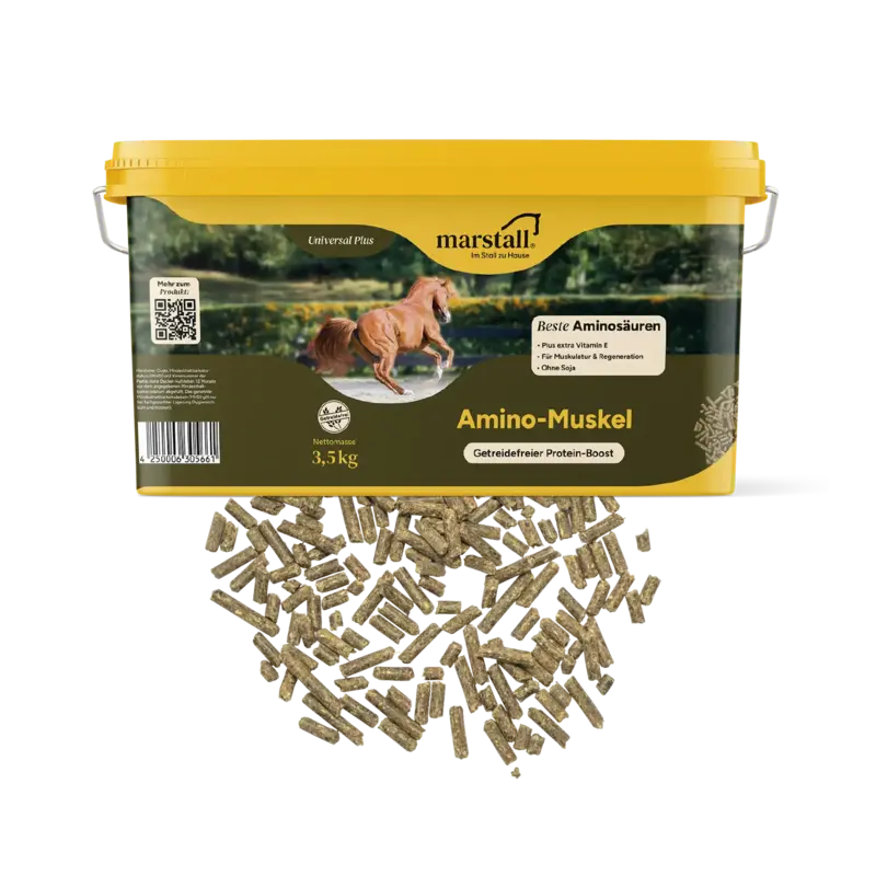 Marstall Amino Plus 3,5kg Eimerabbildung