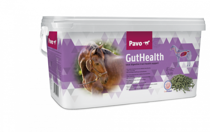 Pavo GutHealth Produkt 