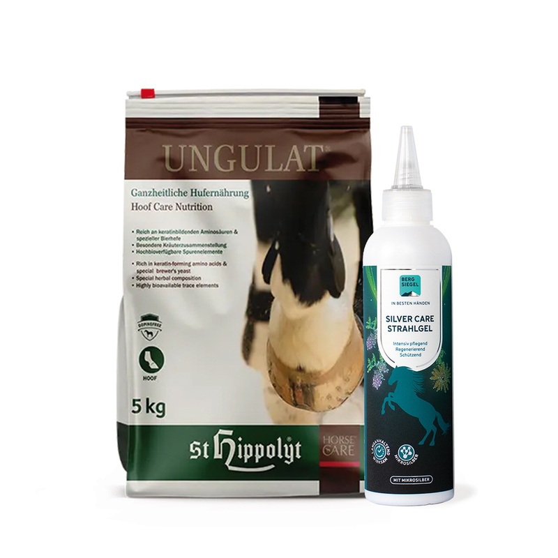 Bergsiegel St. Hippolyt Huf - Set 