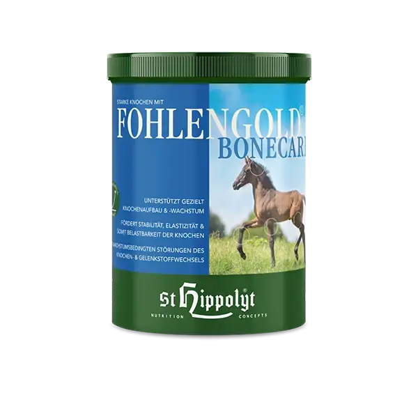 St.Hippolyt Fohlengold Bone 1kg Dose