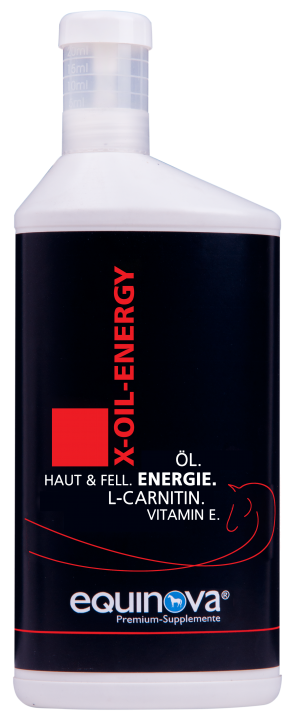 X-Oil Energy