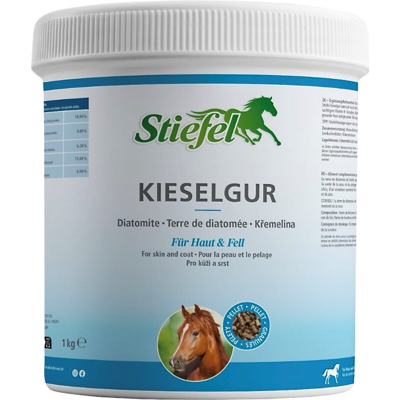 Stiefel Kieselgur 1kg Dosenabbildung