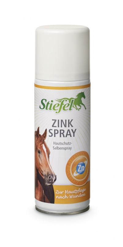 Stiefel Zink-Spray 0,2 L