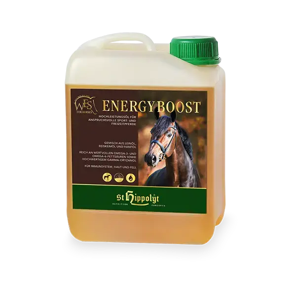 St. Hippolyt WES Energy boost 5l Kanister