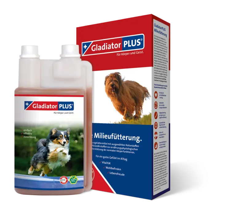GladiatorPlus Hund 0,5l Flasche + Verpackung 