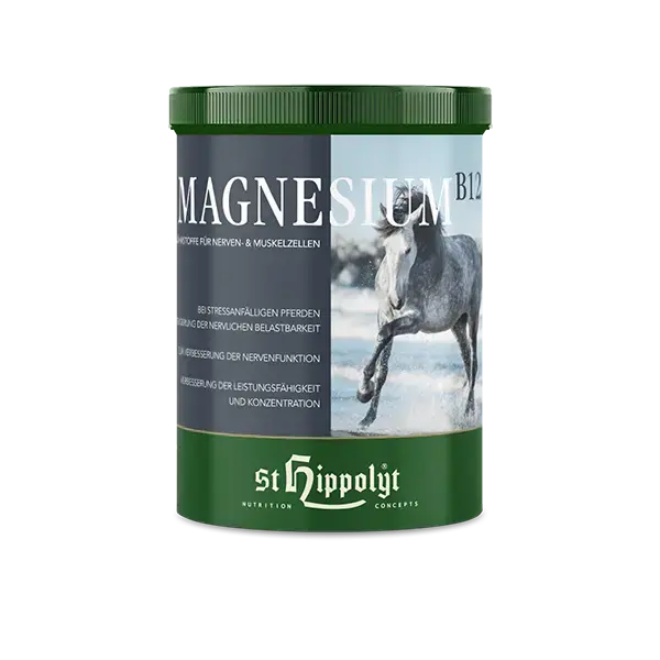 St. Hippolyt Magnesium B12 1kg Dose 