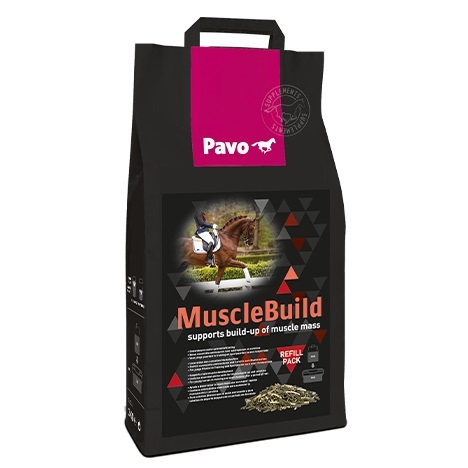 5565_pavo_musclebuild_nachfuellbeutel