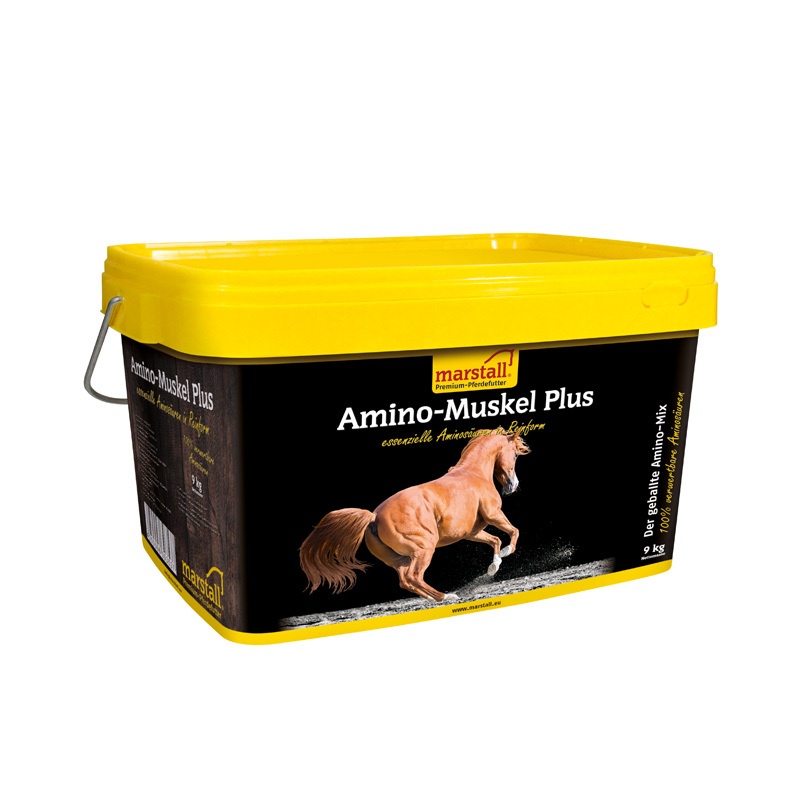 Amino Muskel Plus 9kg