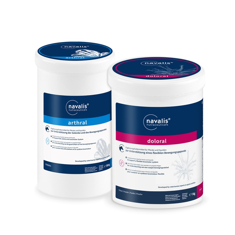 navalis Bewegungs-Bundle